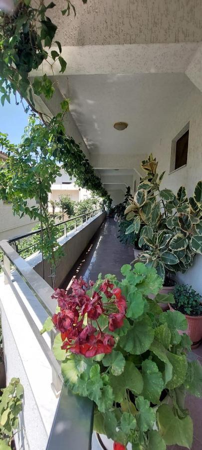 Villa Madani Durres Exterior photo
